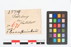 Etikett zu Bernsteinperle (NHMW-PRAE-025719)